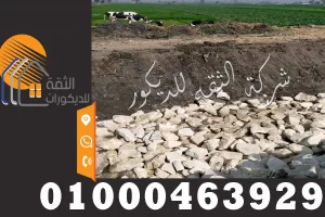 دبش تكاسي دبش غشيم والدبش المقلب